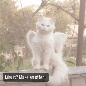 Like something in my closet? Make an offer!